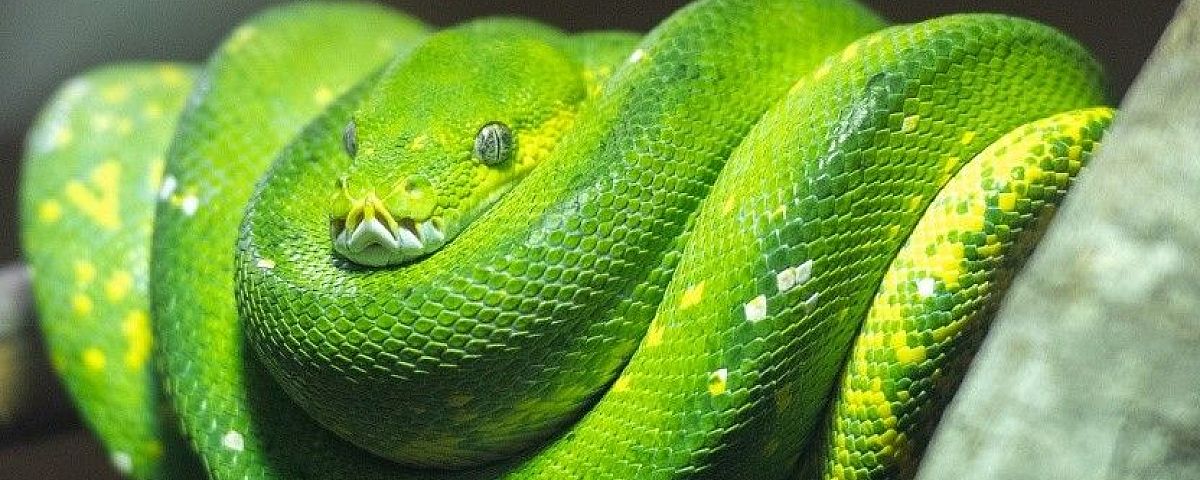 Univerzális Python bővítményt adott ki a Visual Studio Code-hoz a Microsoft