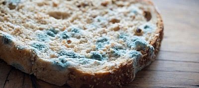 Itt a Mold, az új szupergyors linker Linux és Unix rendszerekhez