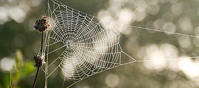 Régóta hiányzó funkció érkezett meg a Visual Studio debuggerébe